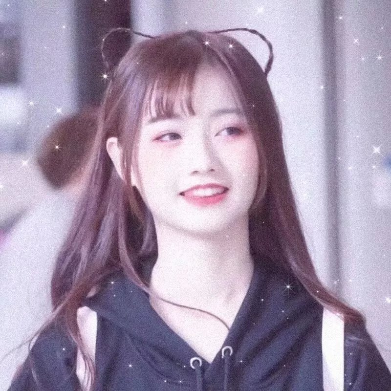 最后的追捕